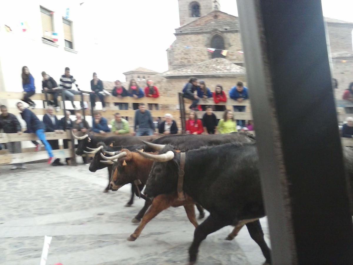 Los Sestiles Garray Esterno foto